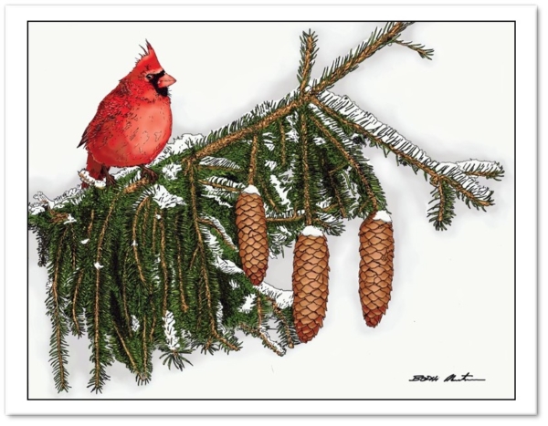Cardinal Perch