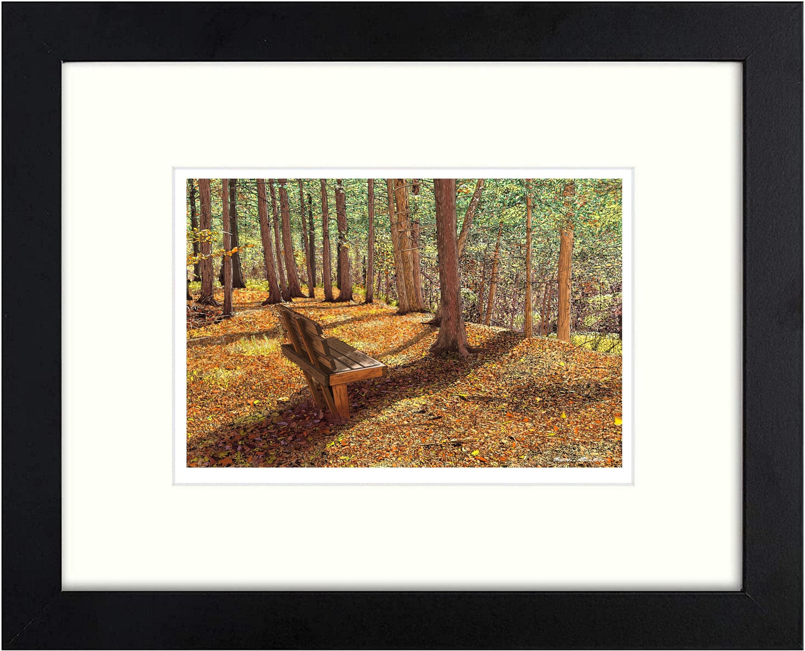 Woodland Solace